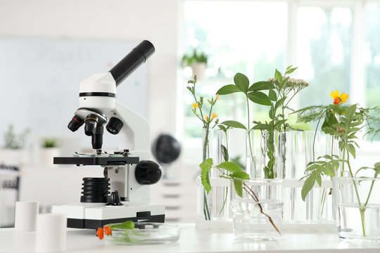Modern microscope and test tubes with plants on shelf in Biology classroom, closeup