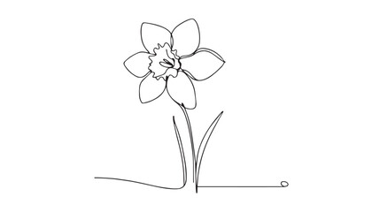 Continuous one single minimal line drawing Orchid