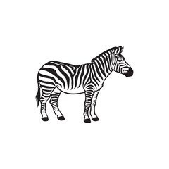 zebra vector illustration.Simple black and white zebra graphic.A side view of a zebra, depicted in a bold black and white line art style.