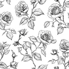 seamless pattern with roses