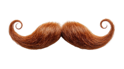 Whimsical brown mustache with curls isolated on transparent background, PNG