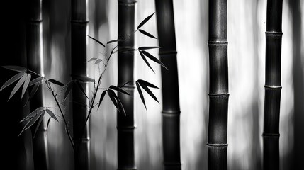 Monochrome Bamboo Forest with Abstract Leaves and Light