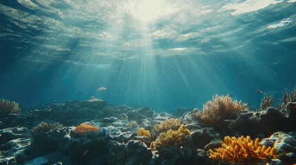 Fototapeta premium A coral reef alive with marine life, vibrant coral, and shimmering sunlight streaming through the clear ocean water above