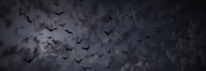 A group of bats flying together in the dark sky ,  night,  darkness,  animals