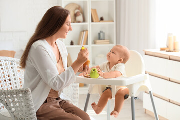 Mother feeding her baby in highchair at home