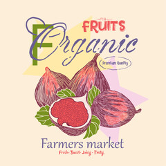 Organic fig fruit print. girls  in vector. Fruit vintage t-shirt design. Fig farm artwork.  Fresh farm Market. Summer tropical fruit poster. Organic food artwork for for t-shirt.