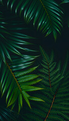 closeup nature view of palms and monstera and fern leaf background. Flat lay, dark nature concept, tropical leaf, cinematic. with white shades