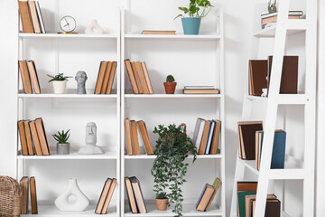Bookshelves with plants in light room