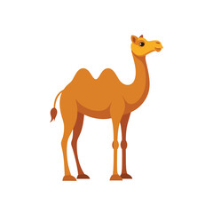 camel on white back ground