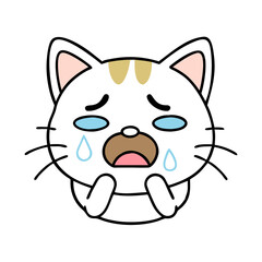 Crying black cat with tears expressing sadness and emotion