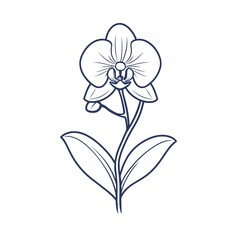 Obraz premium Elegant Orchid Line Art: A minimalist floral design, perfect for adding a touch of nature's grace to your projects.