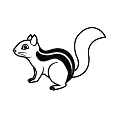 Fototapeta premium squirrel with nut