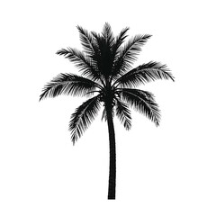 Obraz premium Silhouette of a palm tree isolated on a white background