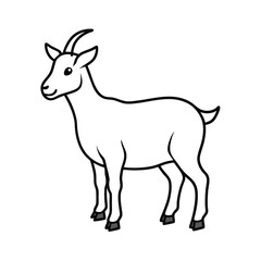 Fototapeta premium goat on white background