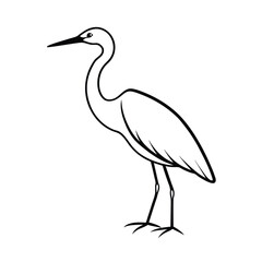 Fototapeta premium great blue heron ardea cinerea