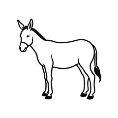 donkey vector illustration
