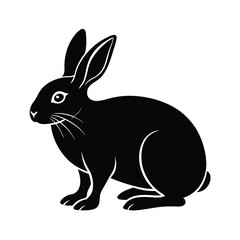 Obraz premium black rabbit on white background