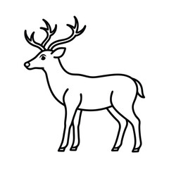 deer vector illustration