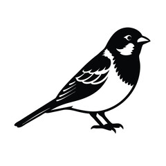vector illustration of a bird
