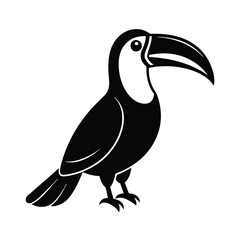 Obraz premium toucan isolated on white