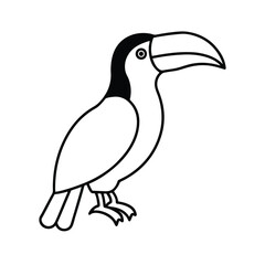 Obraz premium toucan bird cartoon
