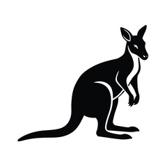 kangaroo vector illustration