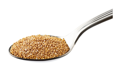 Mustard seeds on a silver spoon with a white background perfect for cooking and culinary use in various dishes and recipes, cut out