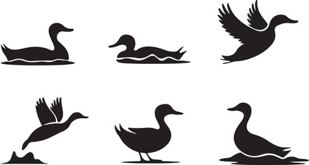 Naklejka premium Set of ducks silhouette