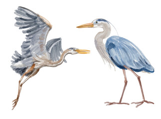 Watercolor set of crane bird for logo, invitations and more