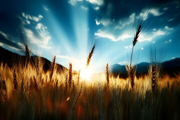 Sunlit wheat fields swaying under the vast sky, capturing the essence of nature, harvest, and rural beauty, ideal for book covers, seasonal campaigns, eco-friendly branding, and agricultural visuals