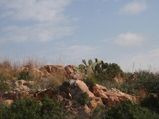 Natura