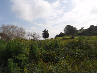 Natura