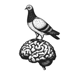 pigeon standing on a brain funny illustration