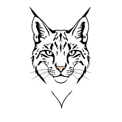 Obraz premium Lynx face illustration, minimalistic design, character features, white background, copy space