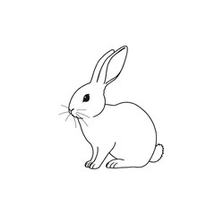 Obraz premium Rabbit illustration, minimalistic style, sitting pose, white background, copy space