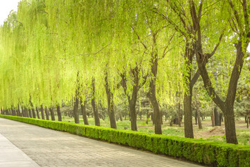 Fototapeta premium Avenue of the Animals, Beijing, China. In the site there are tombs of most emperors of the Ming dynasty, who ruled in China from 1368 to 1644.