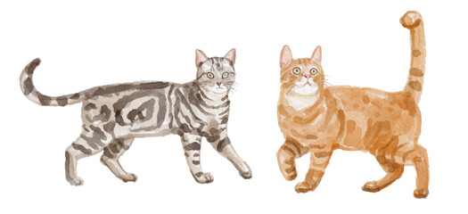 Watercolor set of cat for logo, invitations and more © Yorda