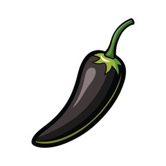 vector illustration of a black chili pepper