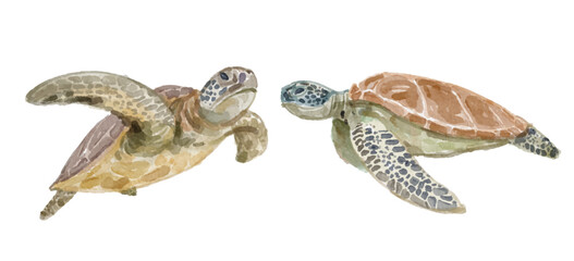 Watercolor set of sea turtle for logo, invitations and more