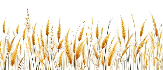 Golden wheat field pattern on white background for design element
