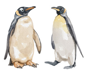 Watercolor set of penguin for logo, invitations and more