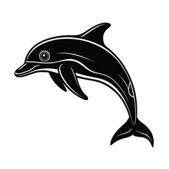 dolphin isolated on white background