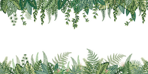 Tropical palm leaves, liana, fern, plants botanical seamless border. Exotic jungle banner.   © good_mood