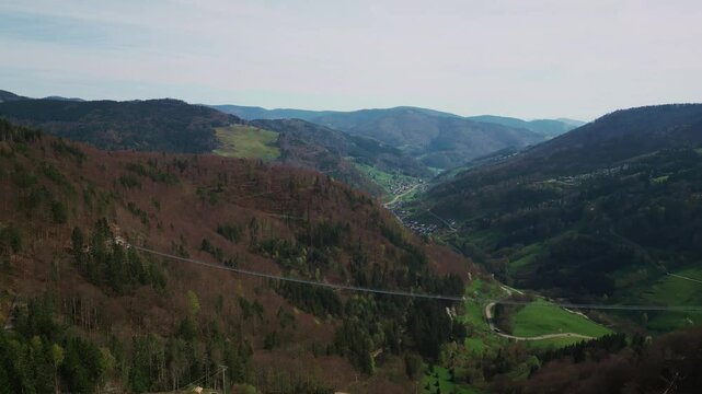 Suspension bridge in Black Forest, South Germany. Nature mountain landscape