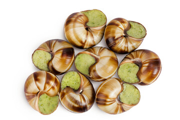escargot snail filled with garlic and parsley butter isolated on white background. Top view. Flat lay
