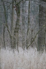 fake Artificial snow