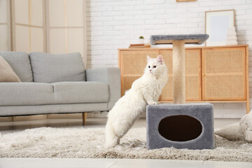 Cute white cat near scratching post at home