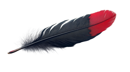 High-resolution image of a black feather with red tips isolated on a transparent background.