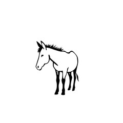 Obraz premium Stylized black and white illustration of a donkey standing gracefully on a white background, space for text