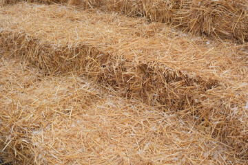 Golden straw bales stacked in a rustic outdoor setting